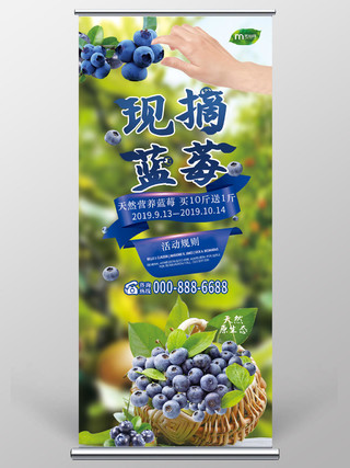 纯天然水果新鲜现摘蓝莓易拉宝设计